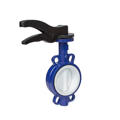 Manual-Fully-Lined-Butterfly-Valve.jpg
